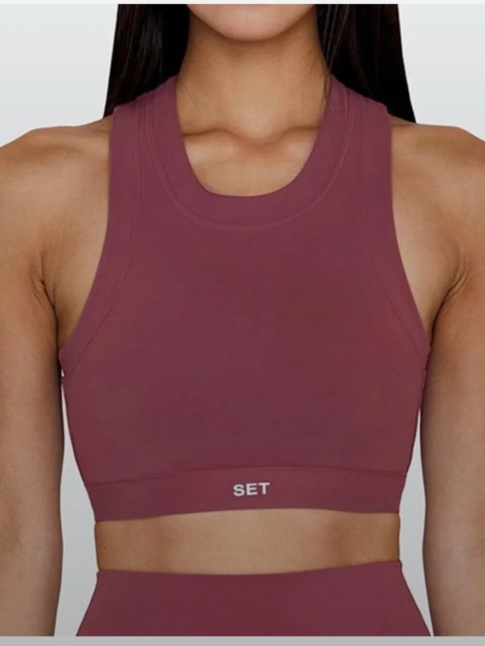 SET Active Sportbody High Neck Crop Top in Canyon Mauve Size XS